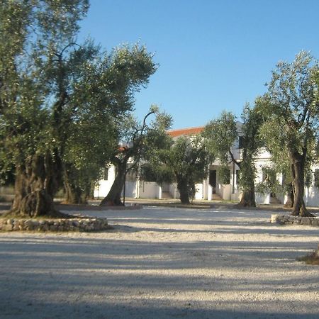 Villa Medina Vieste Szoba fotó